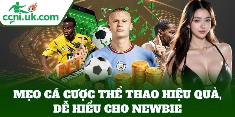 Mẹo Cá Cược Thể Thao Hiệu Quả, dễ hiểu cho newbie