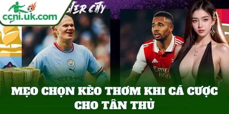 Mẹo Chọn Kèo Thơm Khi Cá Cược cho tân thủ