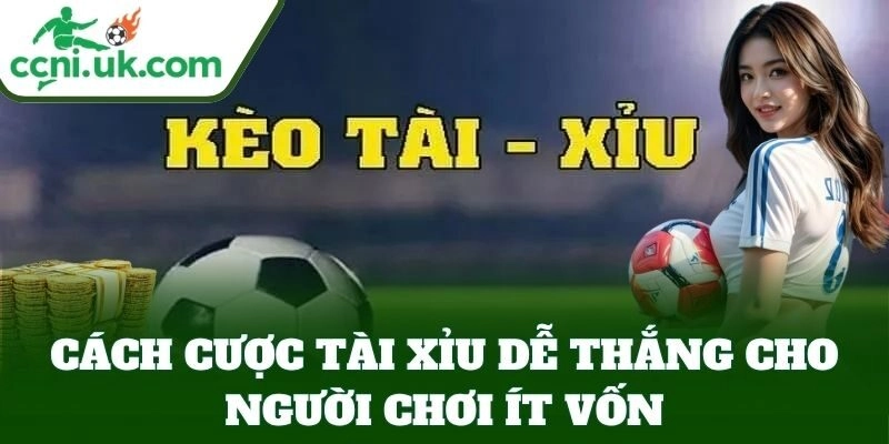 Cách Cược Tài Xỉu Dễ Thắng cho người chơi ít vốn