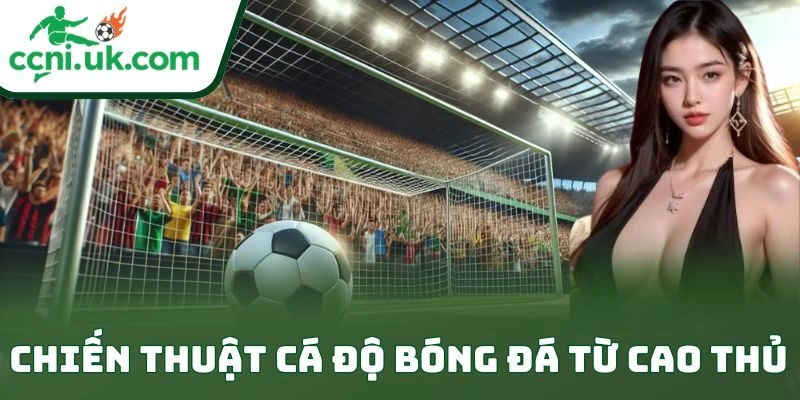 Chiến Thuật Cá Độ Bóng Đá Từ Cao Thủ Đỉnh Cao 2 Chiến Thuật Cá Độ Bóng Đá Từ Cao Thủ Đỉnh Cao