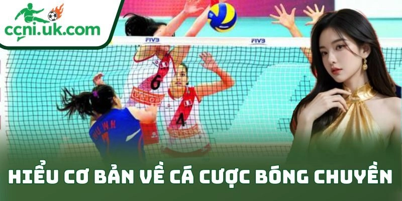 Hiểu cơ bản về cá cược bóng chuyền