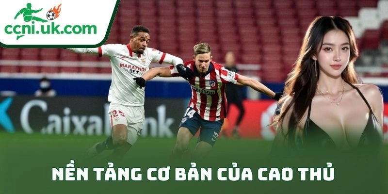 Nền tảng cơ bản của cao thủ