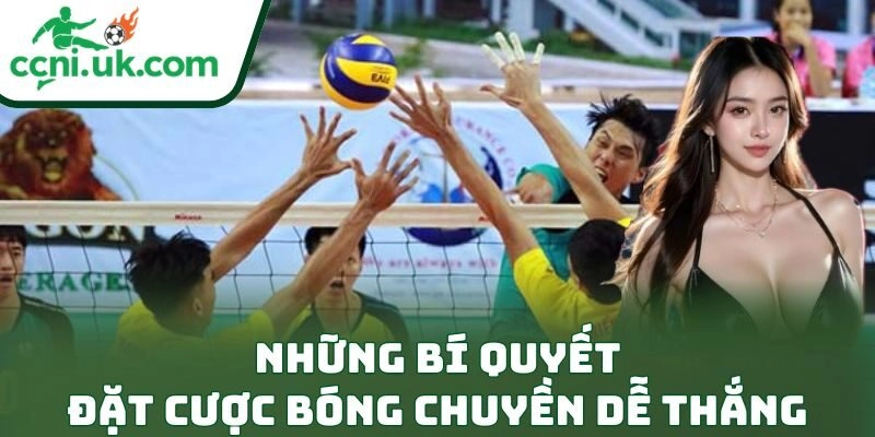 Những bí quyết đặt cược bóng chuyền dễ thắng