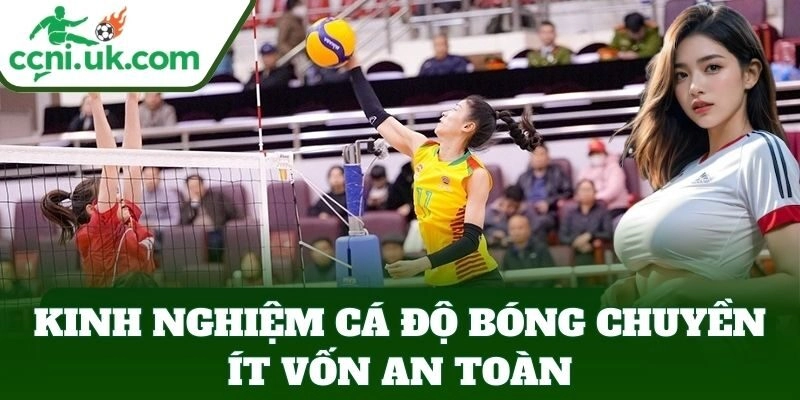 Kinh Nghiệm Cá Độ Bóng Chuyền Ít Vốn an toàn